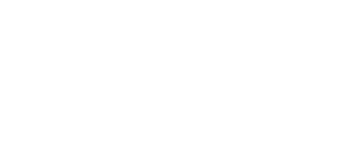 Roundball Roundup Logo